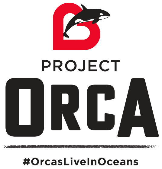 Orcas Project